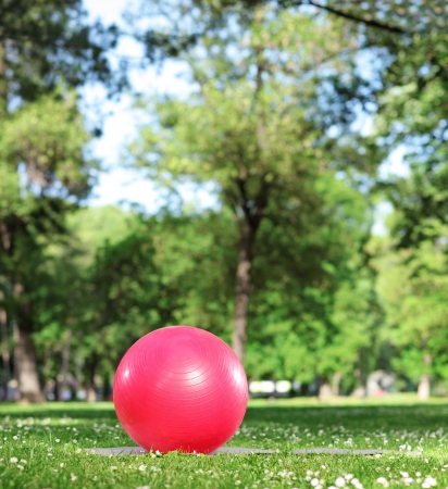 A red exercise ball on a green grass in a parkの写真素材