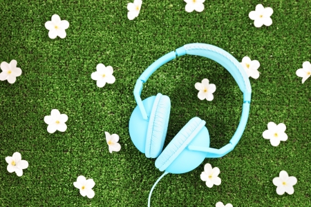 Headphones on a green grass with daisy flowersの写真素材