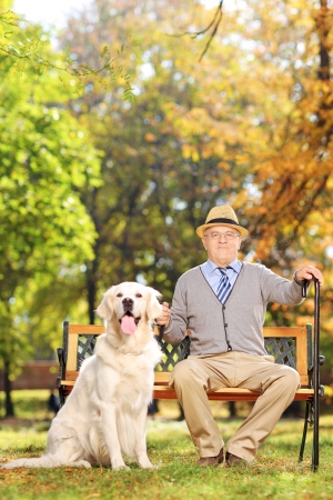 Confident senior gentleman sitting on a wooden bench with his labrador retriever dog, in a parkの写真素材