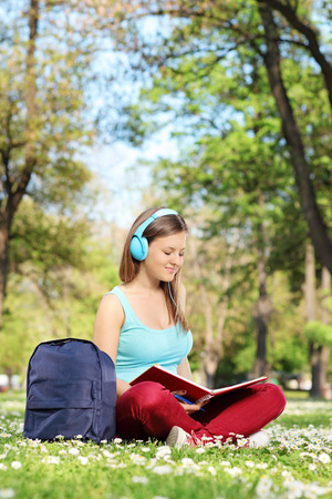 Young woman studying in park seated on a meadowの写真素材