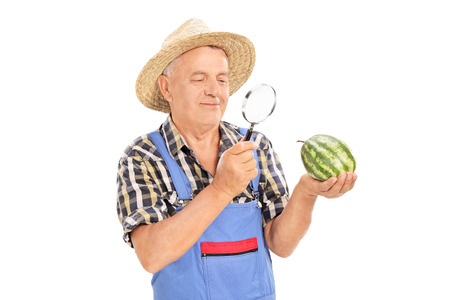 Mature farmer inspecting a small watermelon through a magnifying glass isolated on white background