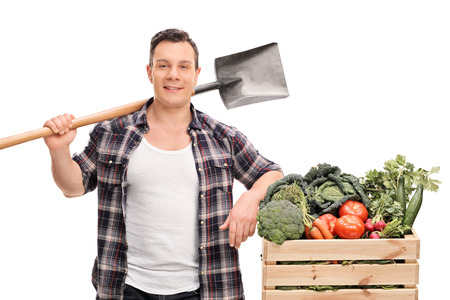 Young male farmer holding a shovel and standing next to a crate with vegetables isolated on white backgroundの写真素材