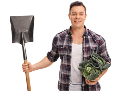 Agricultural worker holding a Savoy cabbage and a shovel isolated on white backgroundの写真素材