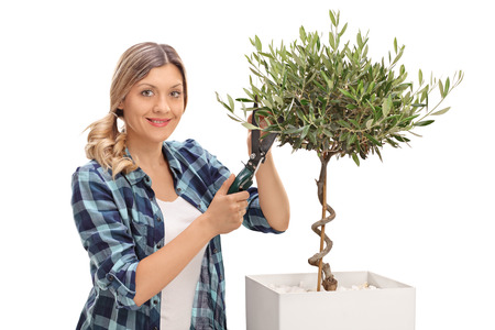 Smiling young woman pruning an olive tree and looking at the camera isolated on white background