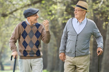 Two elderly men having a conversation outdoorsの写真素材
