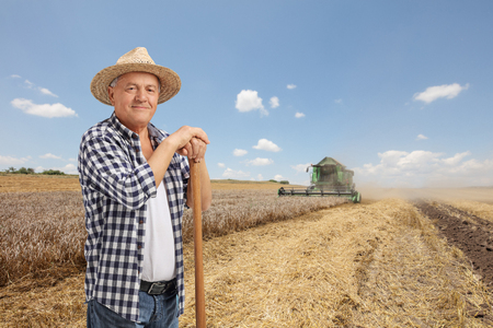 Elderly farmer on a wheat field with a combine harvesterの写真素材