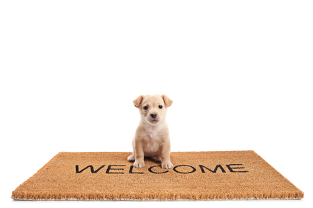 Small puppy dog sitting on a door mat with written text welcome isolated on whiteの写真素材
