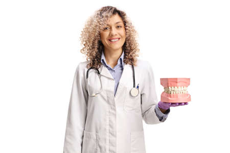 Female dentist holding a model jaw isolated on white background