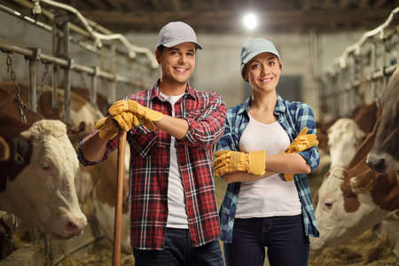 Male and female young farmers standing in a cowshed with cows behindの写真素材