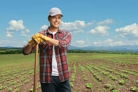 Young male armer with a spade standing on a sunflower field on a sunny dayの写真素材