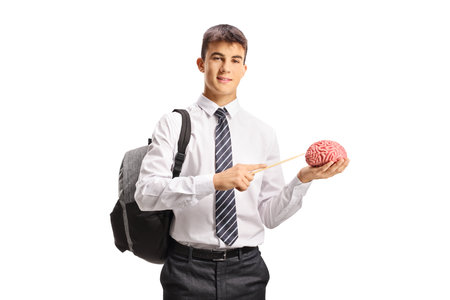 Male student holding a human brain and pointing with a stick isolated on white background
