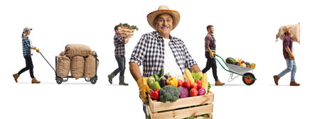 Farmers with a crate, wheelbarrow and burlap sacks isolated on white backgroundの写真素材
