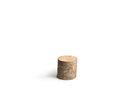 Studio shot of a wood trunk isolated on white background