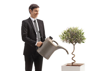 Businessman watering a small olive tree isolated on white backgroundの写真素材