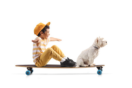 Boy with a yellow cap riding on a longboard with his dog isolated on white backgroundの写真素材