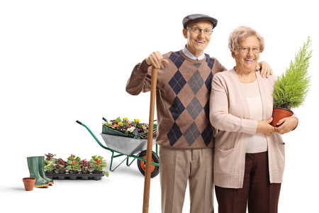 Senior couple gardeners with a plant and a shovel isolated on white backgroundの写真素材