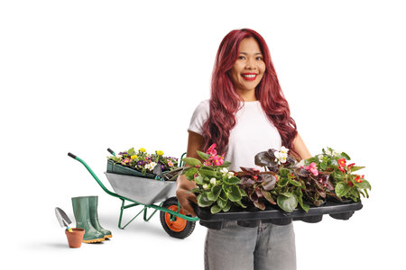 Young asian woman with a tray of flower pots, gardening concept isolated on white backgroundの写真素材