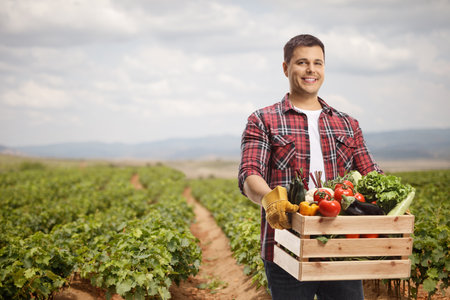 Young man carrying a crate with vegetables on a farmの写真素材