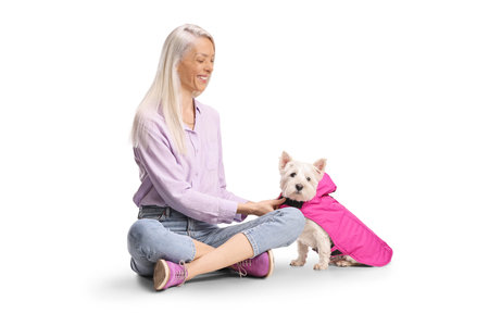 Woman dressing a westie terrier dog in a pink coat isolated on white backgroundの写真素材