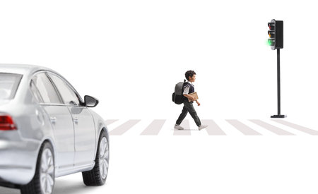 Male pupil with a backpack walking at zebra crossing isolated on white backgroundの写真素材