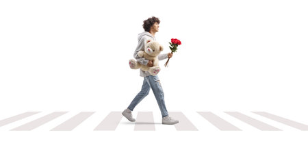 Full length profile shot of a guy crossing a street with a teddy bear and red roses isolated on white backgroundの写真素材