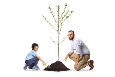 Man and boy planting a tree isolated on white backgroundの写真素材