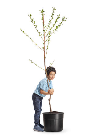 Boy hugging a tree, ecology concept isolated on white backgroundの写真素材