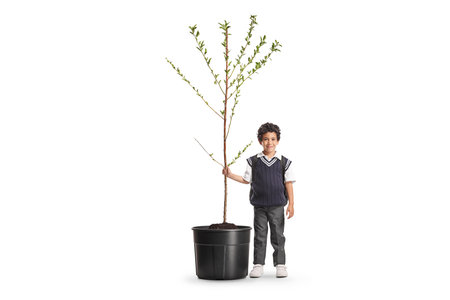 Schoolboy holding a tree in a pot isolated on white backgroundの写真素材