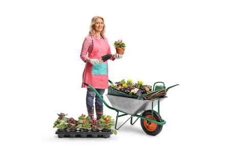 Woman gardener with a wheelbarrow holding a flower pot and a spade isolated on white backgroundの写真素材