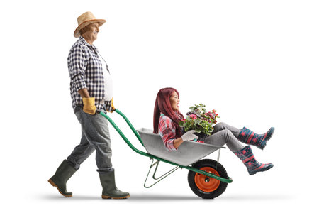 Mature man pushing a young woman with flowers in a wheelbarrow isolated on white backgroundの写真素材