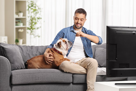 Man giving food to a bulldog and sitting on a sofa in front of tvの写真素材