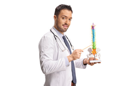 Young doctor explaing a human spine model isolated on white backgroundの写真素材