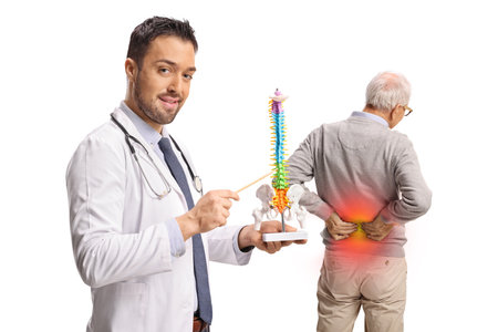 Doctor explaining back pain to a senior patient using a spine model isolated on white backgroundの写真素材
