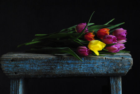 tulips from  gardenの写真素材