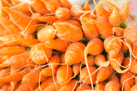 Bunches of fresh carrots for sale at local farmers market.の写真素材