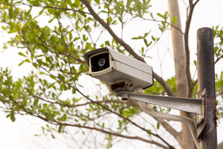 CCTV Security camera in the park.の写真素材