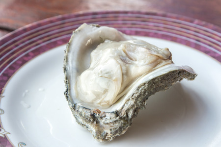 fresh raw oyster on a white plate.の写真素材
