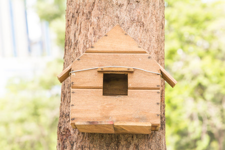The birdhouse on a high tree in the park.