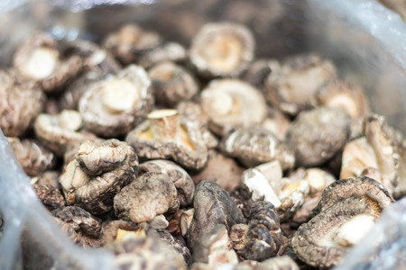 Selection of different mushrooms on a market in plastic bags in Bangkok, Thailandの写真素材