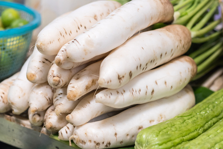 Fresh organic daikon radishes in the market.の写真素材
