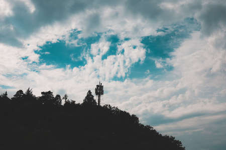 Plants in the mountainsの写真素材