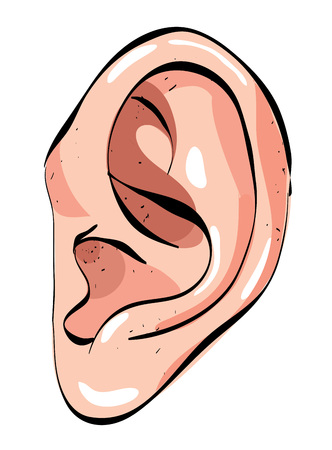 Cartoon image of human ear. An artistic freehand picture.のイラスト素材