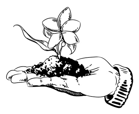 Cartoon image of flower growing in palm of hand. An artistic freehand picture.のイラスト素材