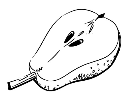Cartoon image of half pear. An artistic freehand picture.のイラスト素材