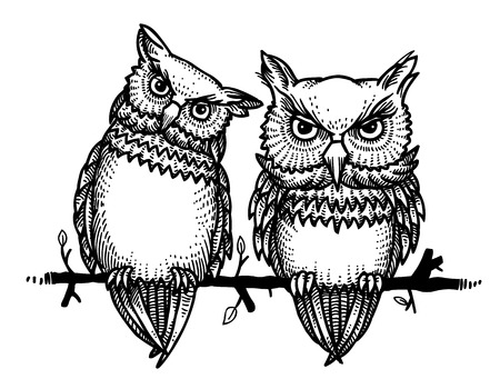 Cartoon image of cute owlsのイラスト素材