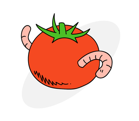 Tomato with wormのイラスト素材