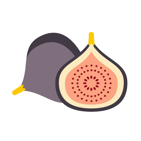 fig flat illustration. Food and drink, kitchen and cooking, fruit and vegetables series.のイラスト素材