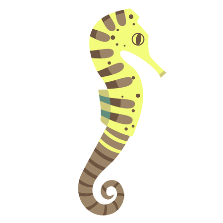 Seahorse flat illustration on white background. Marine and underwater series.のイラスト素材
