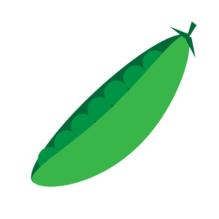 pea flat illustration on whiteのイラスト素材