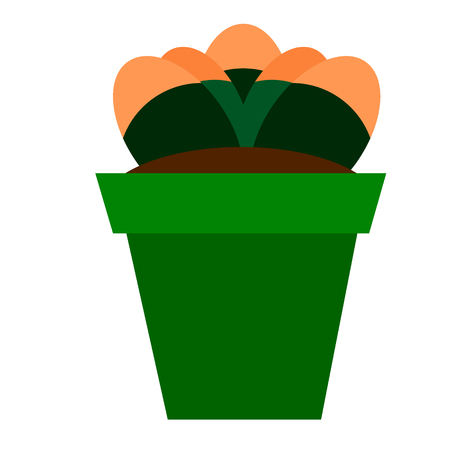 plant pot flat illustration on whiteのイラスト素材
